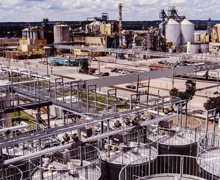 Vegetable Oil Processing